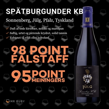 2022 Spätburgunder KB Sonnenberg GG, Weingut Jülg, Pfalz, Tyskland