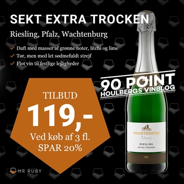 Riesling Sekt Extra Trocken, Pfalz, Weinland Wachtenburg, Tyskland