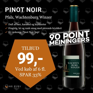 2023 Pinot Noir, Wachtenburg Winzer, Pfalz, Tyskland