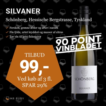 2023 Silvaner Trocken, Schloss Schönberg, Hessische Bergstrasse, Tyskland