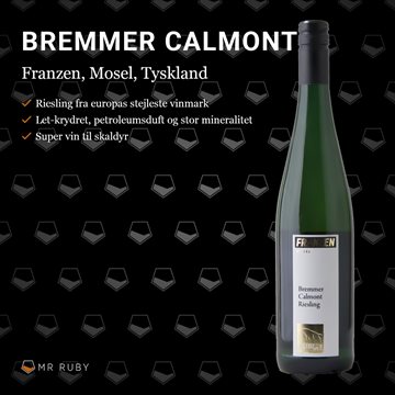 2019 Riesling, Bremmer Calmont, Weingut Franzen, Mosel, Tyskland