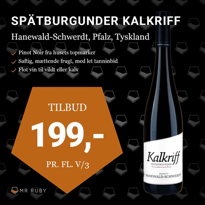 2020 Spätburgunder Kalkriff, Hanewald-Schwerdt, Pfalz