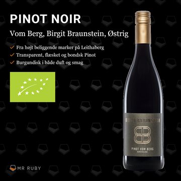 2018 Pinot Vom Berg, Burgenland, Birgit Braunstein, Østrig