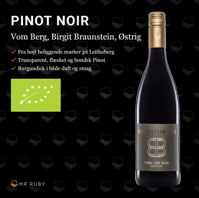 2021 Pinot Vom Berg, Burgenland, Birgit Braunstein, Østrig