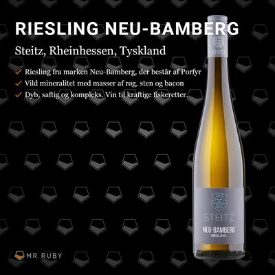 2019 Riesling Neu-Bamberg, Weingut Steitz, Rheinhessen, Tyskland