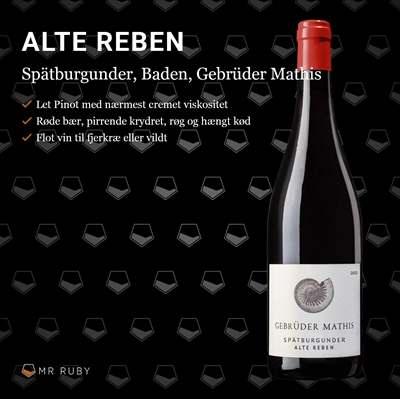 2021 Spätburgunder Alte Rebe, Gebrüder Mathis, Baden, Tyskland