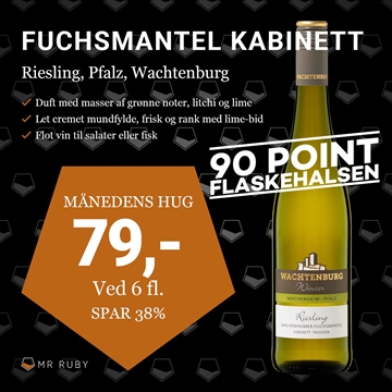 2023 Riesling Fuchsmantel Kabinett Trocken, Weinland Wachtenburg, Pfalz, Tyskland