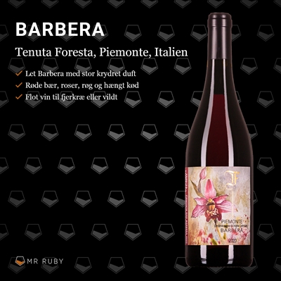 2023 Barbera, DOC Piemonte, Tenuta Foresta, Italien