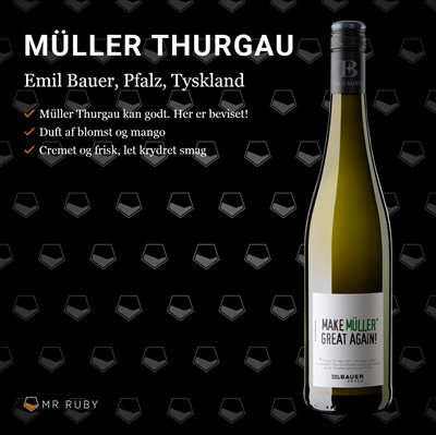 2021 Make Müller great again, Emil Bauer, Pfalz, Tyskland