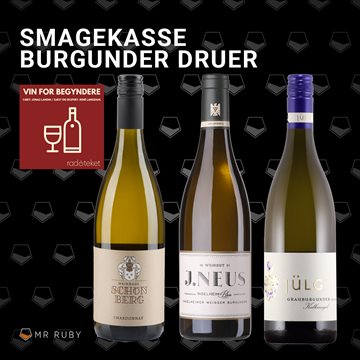 Smagekasse Burgunder druerne "Vin for begyndere"