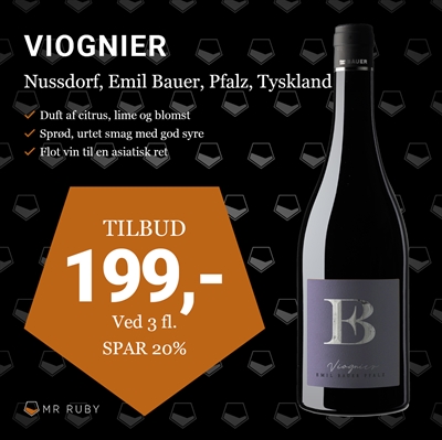 2024 Viognier Nussdorf, Emil Bauer, Pfalz, Tyskland