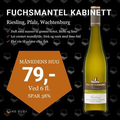 2023 Riesling Fuchsmantel Kabinett Trocken, Weinland Wachtenburg, Pfalz, Tyskland