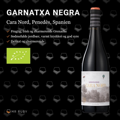 2020 Garnatxa Negra, Cara Nord, Spanien, ØKO