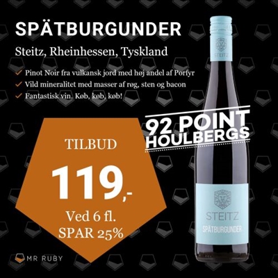 2021 Spätburgunder, Weingut Steitz, Rheinhessen, Tyskland