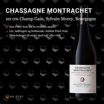 2020 Chassagne-Montrachet 1er cru Champs Gains, Rouge, Sylvain Morey, Bourgogne, Frankrig